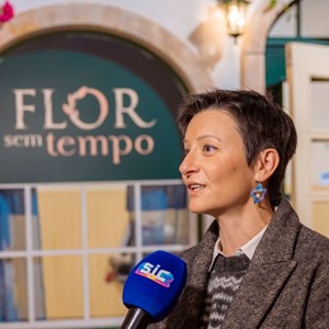 Entrevista a Inês Gomes - Autora da novela Flor Sem Tempo