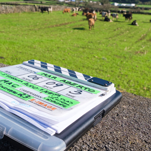 Começaram as gravações da nova novela SENHORA DO MAR